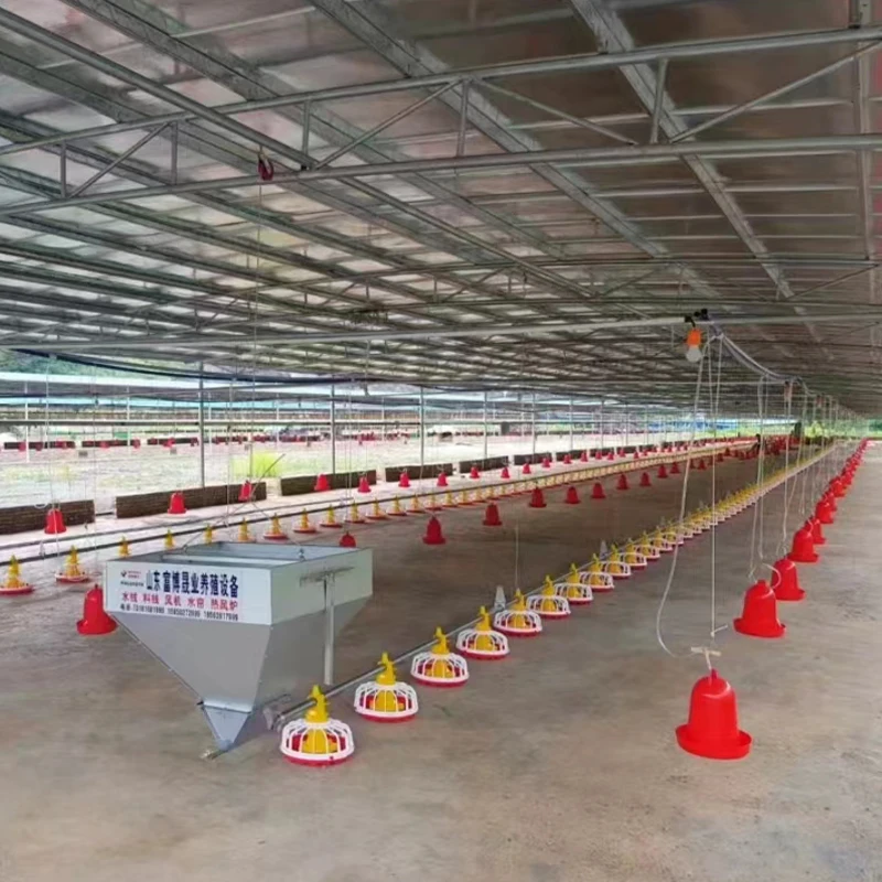 Full-Automatic Poultry Farming Equipment for Broiler Breeding Chicken Shed/Chicken House with Efficient Chicken Bird Feeders