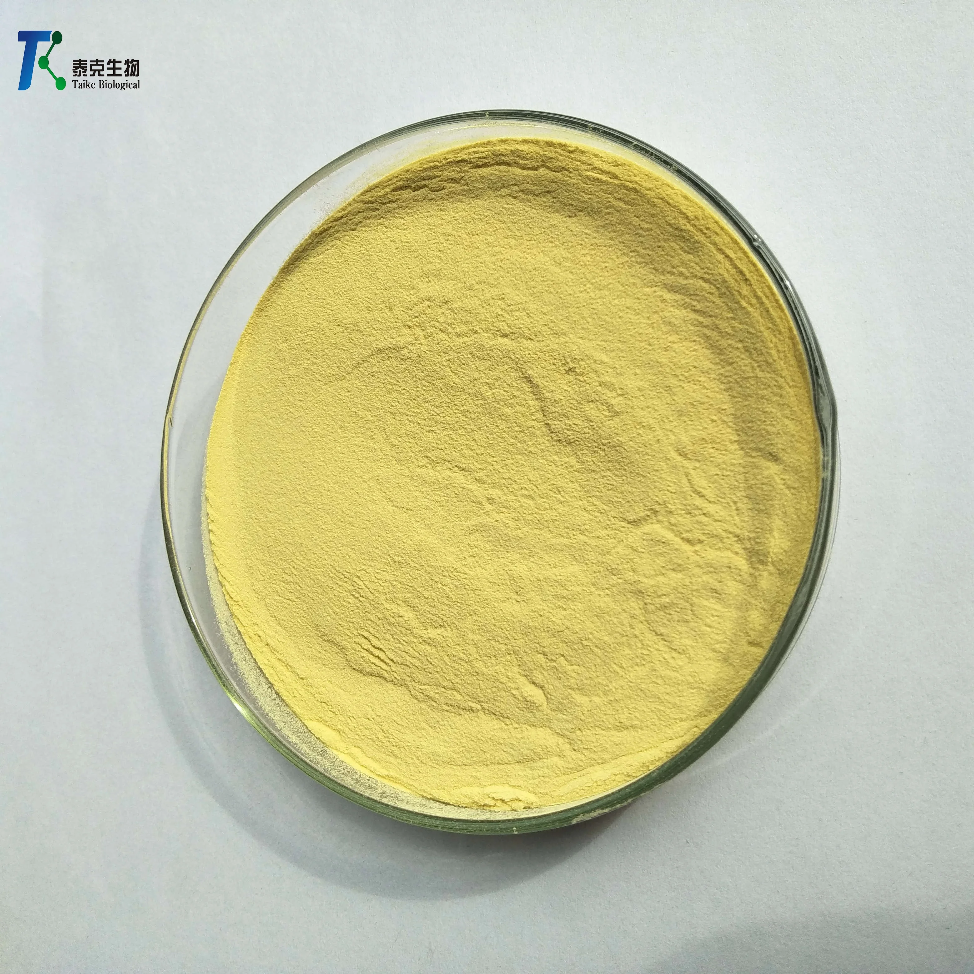 
Top high Natural Garlic Extract Powder 