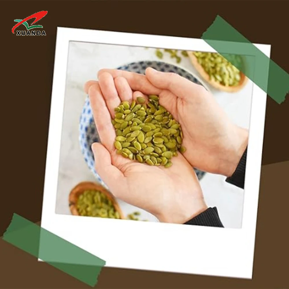 Wholesale Price Raw Pumpkin Kernels Peeled Shelled Dried Snow White Shine Skin Pumpkin Seed Supplier