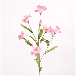 Simulated morning glory tung oil tree decorated with flower photography props dried flower Pampas