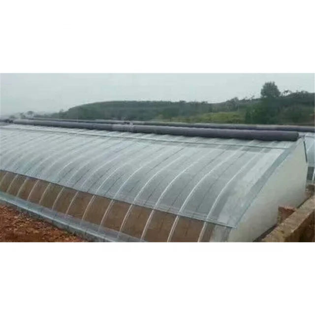 Muchen brand professional manufacturer agricultural polycarbonate solar greenhouses