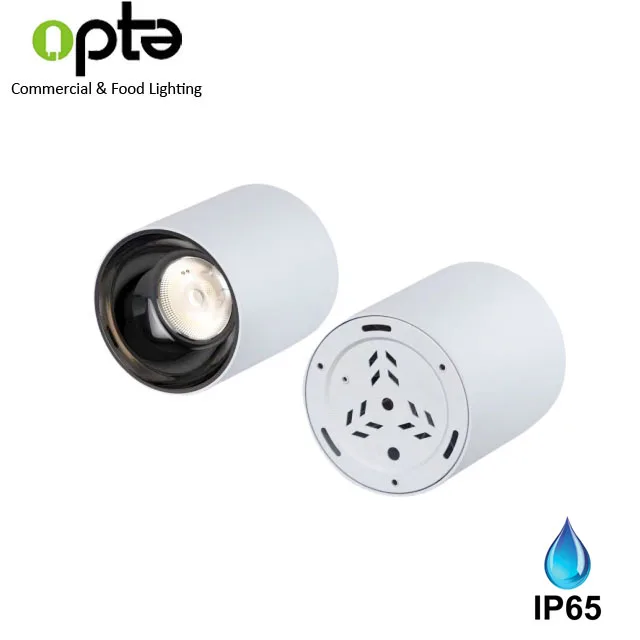Cylinder 20W outdoor LED Ceiling Surface Mounted Downlight with IP65