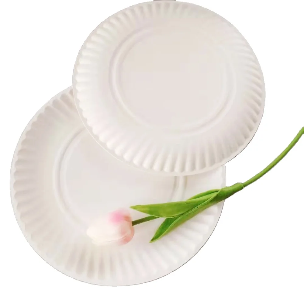 Wholesale Elegant Disposable Plates for Weddings Take Away Free Samples Designer Dinner Food