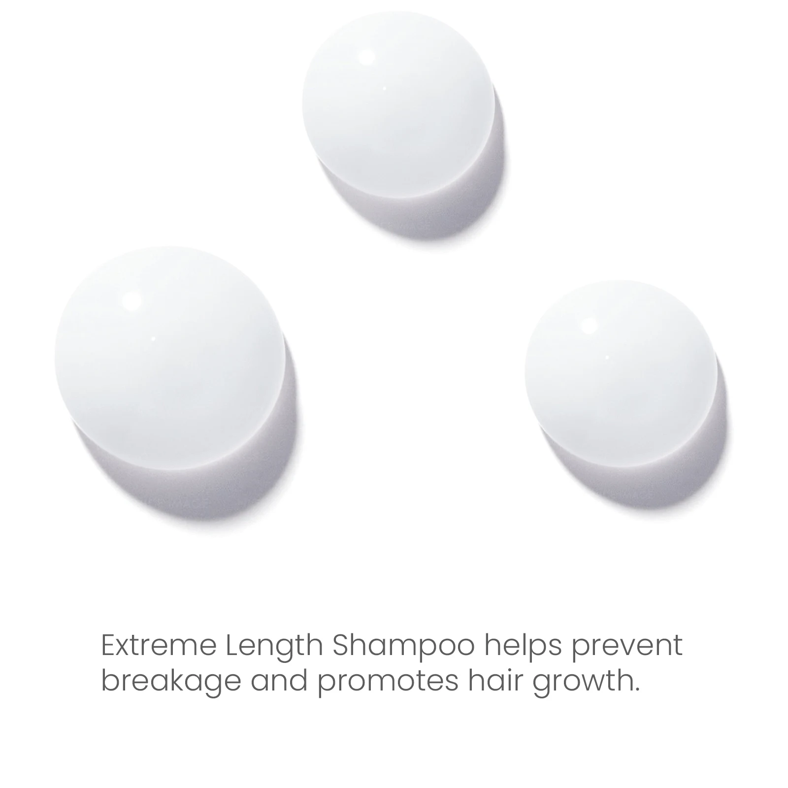 Guangzhou Factory Private Label Eco Friendly Shampoo Product Scalp Detox Oily Hair Dandruff Shampoo From China