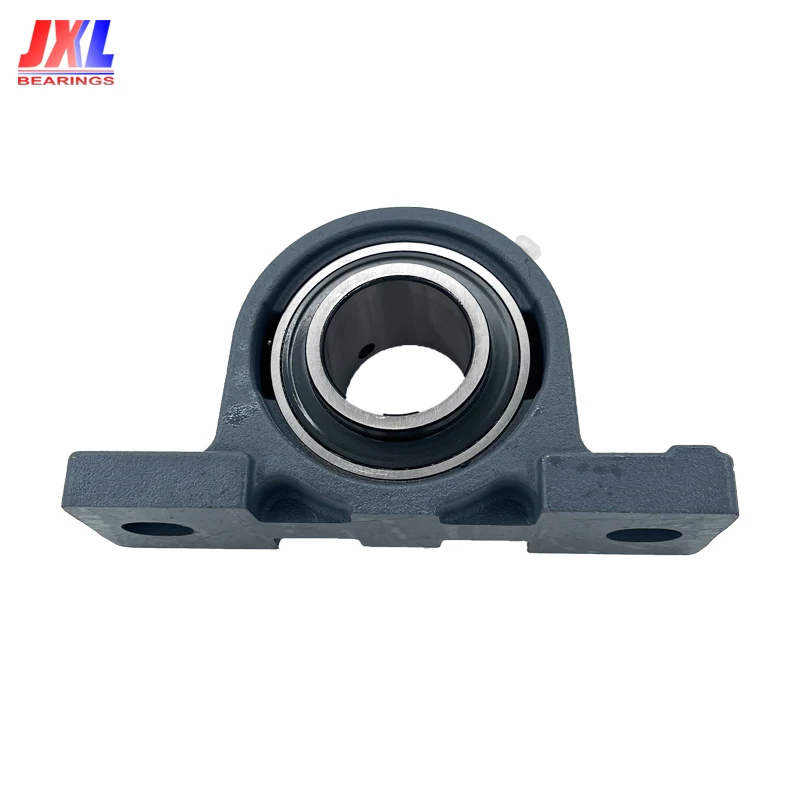 Ucp215 Cheap Price Inch Optional Cast Iron Pillow Block Housing Bearing