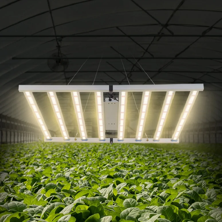 Flower Plant Full Spectrum Foldable LED Grow Light Aluminium 800 Watt LED Grow Light