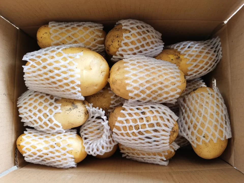 chinese  Mesh Bag Potatoes Fresh Potatoes Style Organic Weight Origin Type Shape Size Product Place Model  Round Maturity