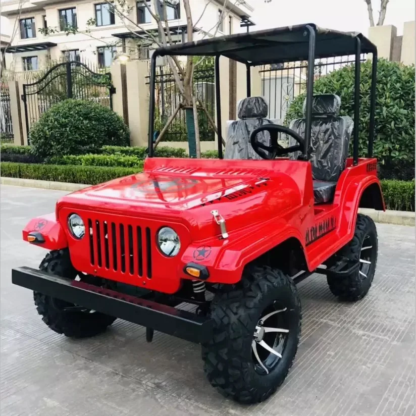 
Factory Direct Sell 2 Person 200CC Mini Jeep UTV For Adult 