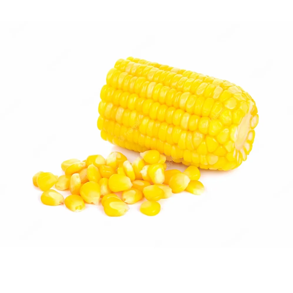IQF Certified Frozen Vegetables Fresh Sweet Crispy Corn on the Cob in Bulk Whole and Blanched