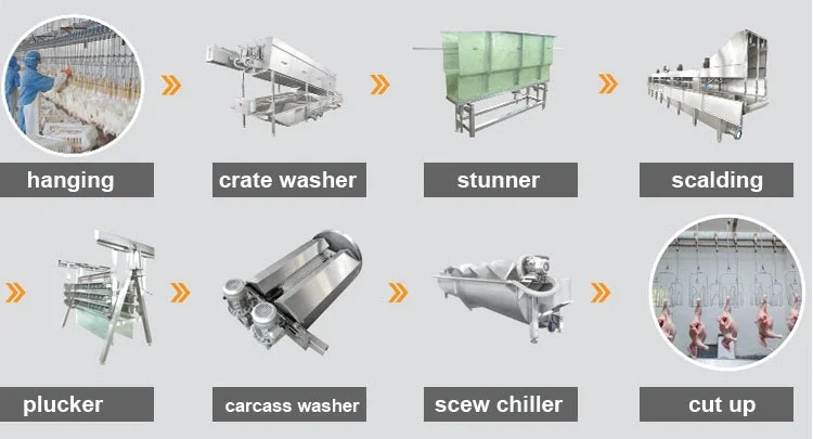 paste-pic-dp_uuid_38wml