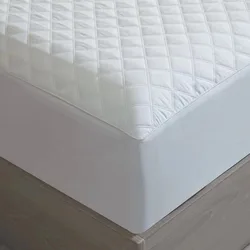 Queen Size Quilted Bed Cover Fitted Mattress Pad Cover Elastic Fitted Mattress Protector Waterproof bed bug mattress cover