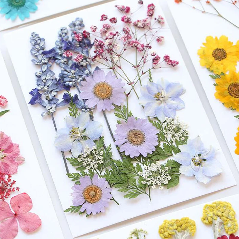 manufacturer wholesale mixed material pack dry pressed flowers for resin