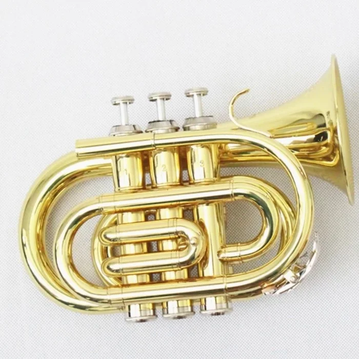 Gold Lacquer Brass Body Pocket Trumpet Wholesale Price B Flat Musical Instrument