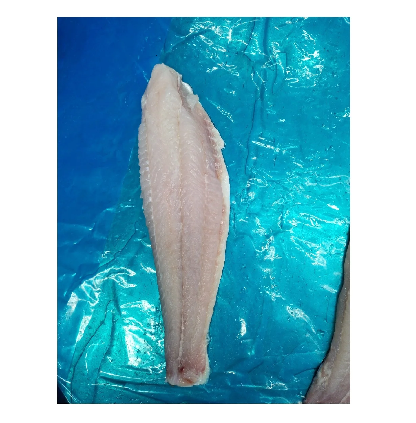 Frozen Pangasius Hypophthalmus fillet/ Basa fish fillet Fillet Skin on from VietNam