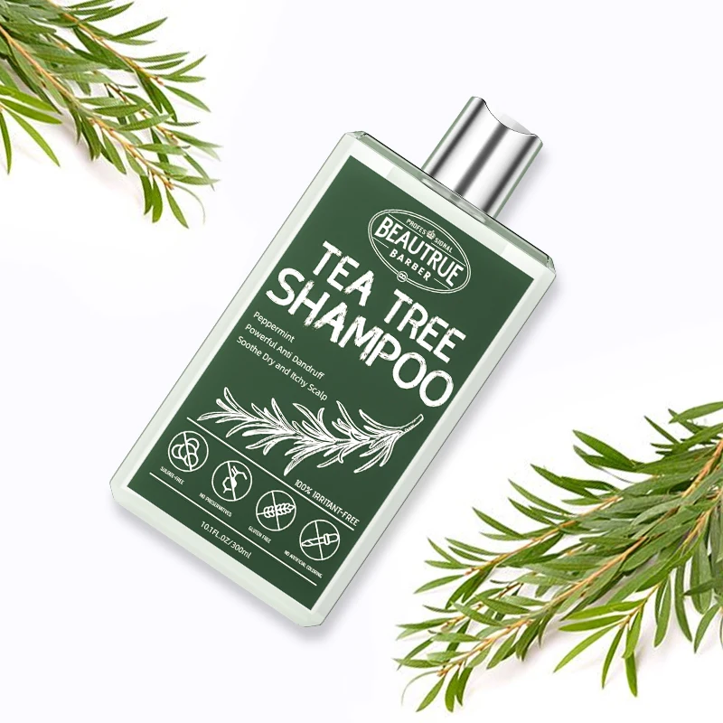 Low MOQ Anti-dandruff Mint Shampoo Hair Care Anti-itch Hair Shampoo Mens Hair Care Shampoo