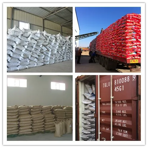 Sunflower Seeds Black With White Stripe 361 363 601