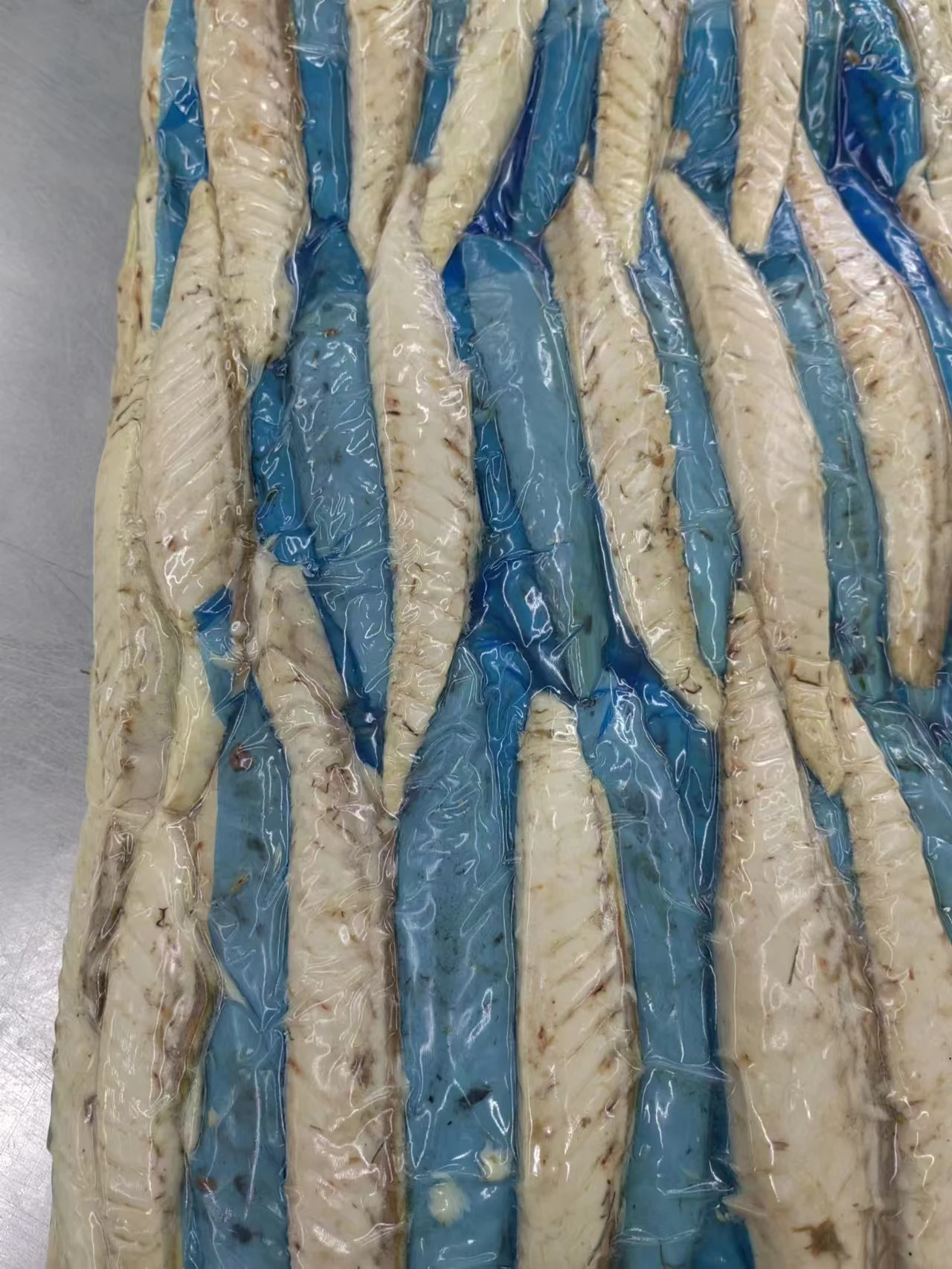 Fresh Seafood 300 - 500 g Frozen Bonito Tuna Fish for Market