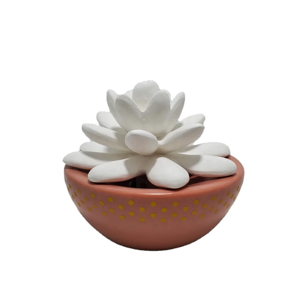 New ceramic succulent flower essential oil diffuser with ceramic bottle