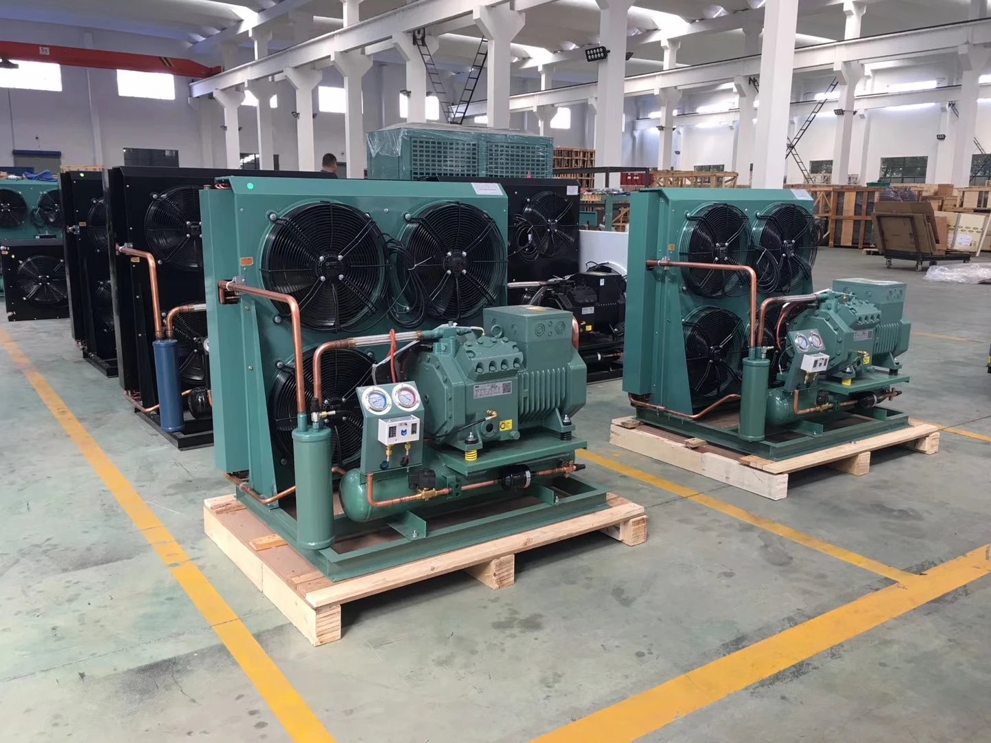 Cold chamber with stainless steel security doors