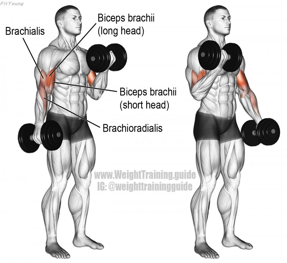 Wholesale high quality dumbbell adjustable weight fitness lifting adjustable dumbbell set