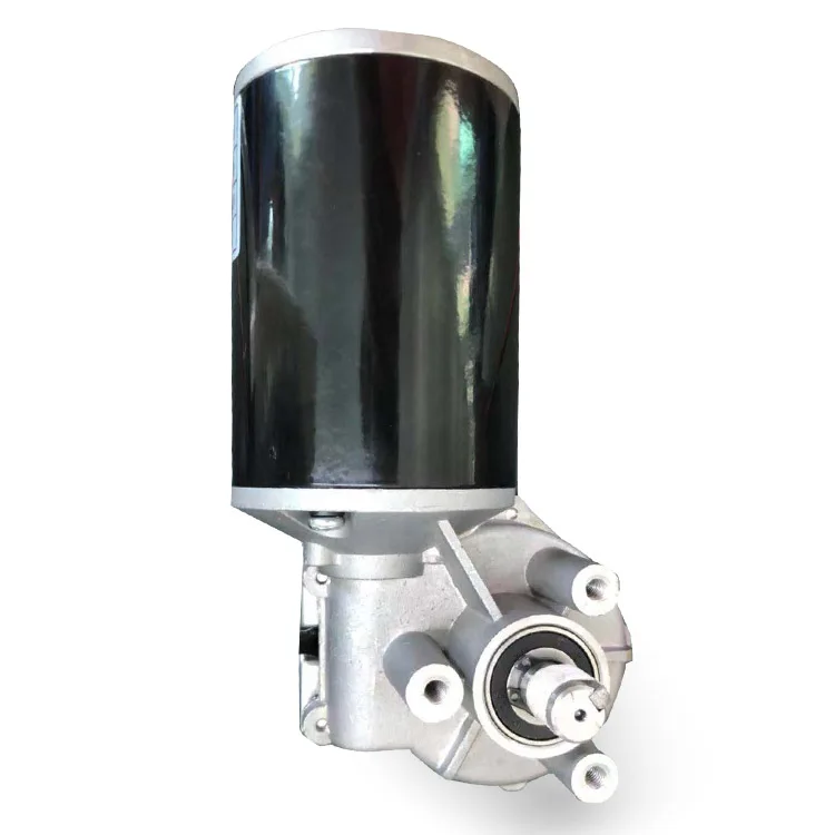 Chinese Supplier Motor Generator 24v DC 220RPM Sliding Door Motors