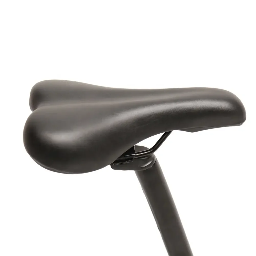 TXED 16 inch foldable electric bike 250W 36V/7.8Ah motor bicycle with color LCD display folding ebike with bag e city fold bike