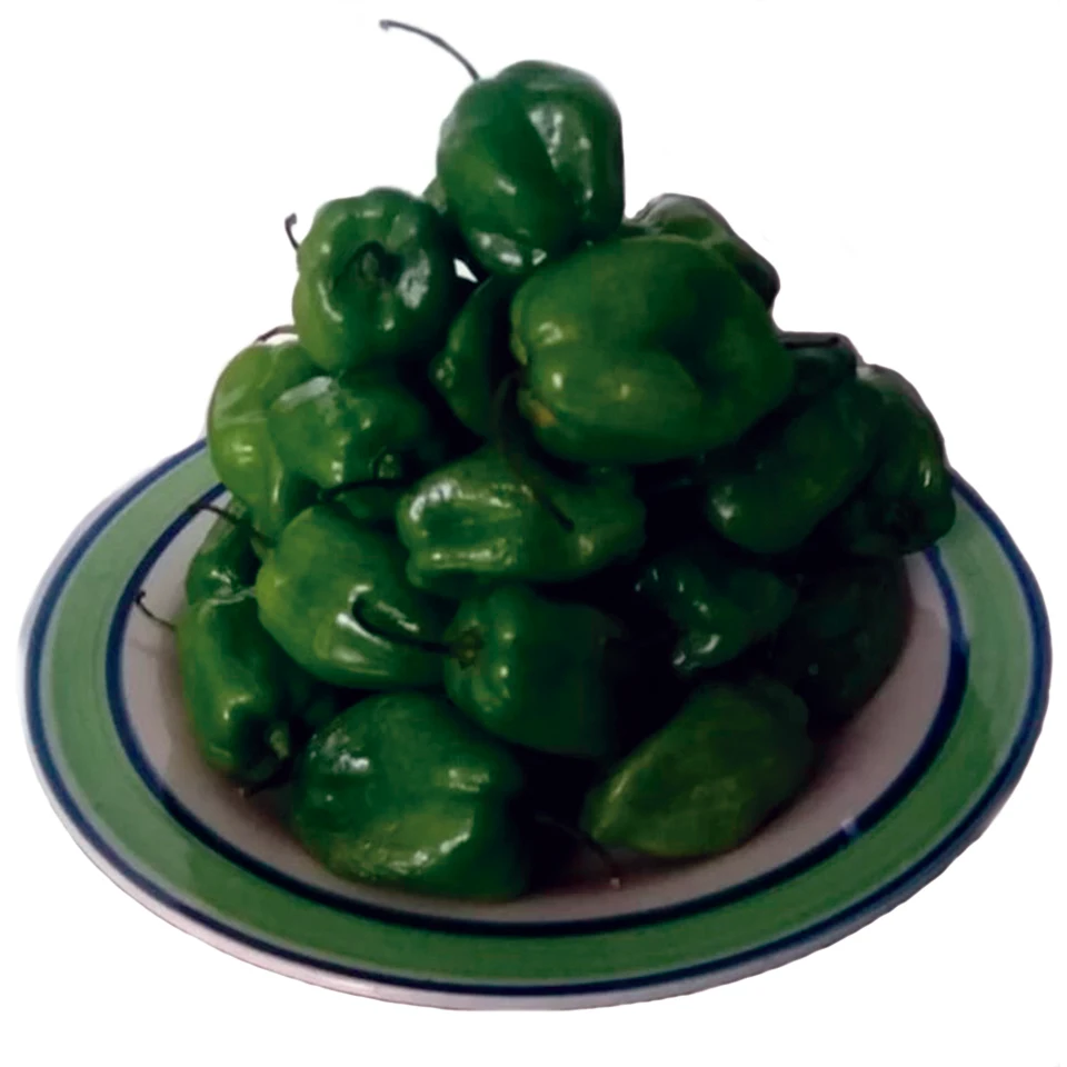 High Quality Fresh Pepper Chilli Green Habanero