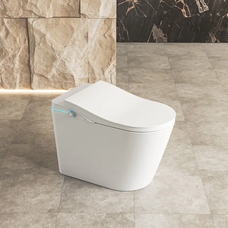 New Model Japanese Black Bidet Smart Toilet Dual Flush Siphon Flush Luxury One Piece Toilet