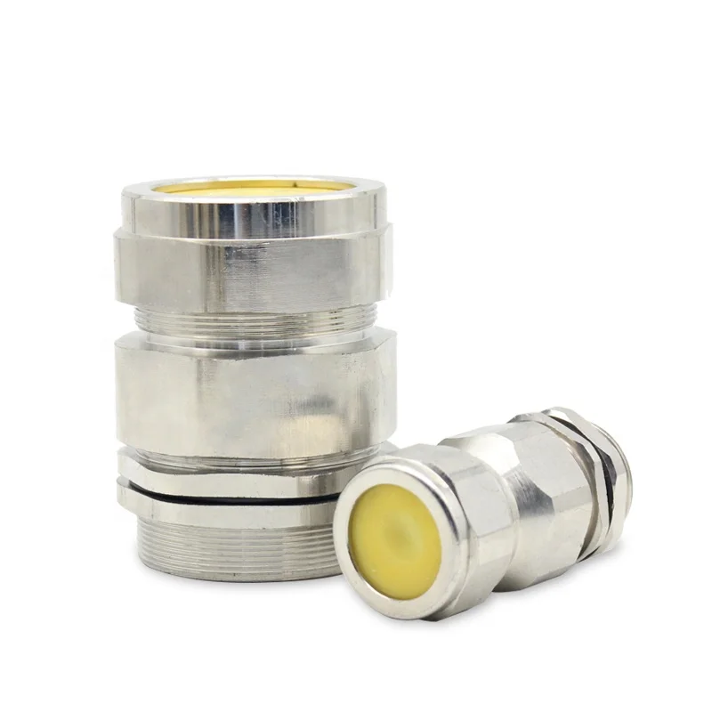 EX D Cable Glands M20 Explosion Proof ATEX Single Compression Double Seal Indoor Outdoor NPT1/2 Stainless Steel Armoured Cable