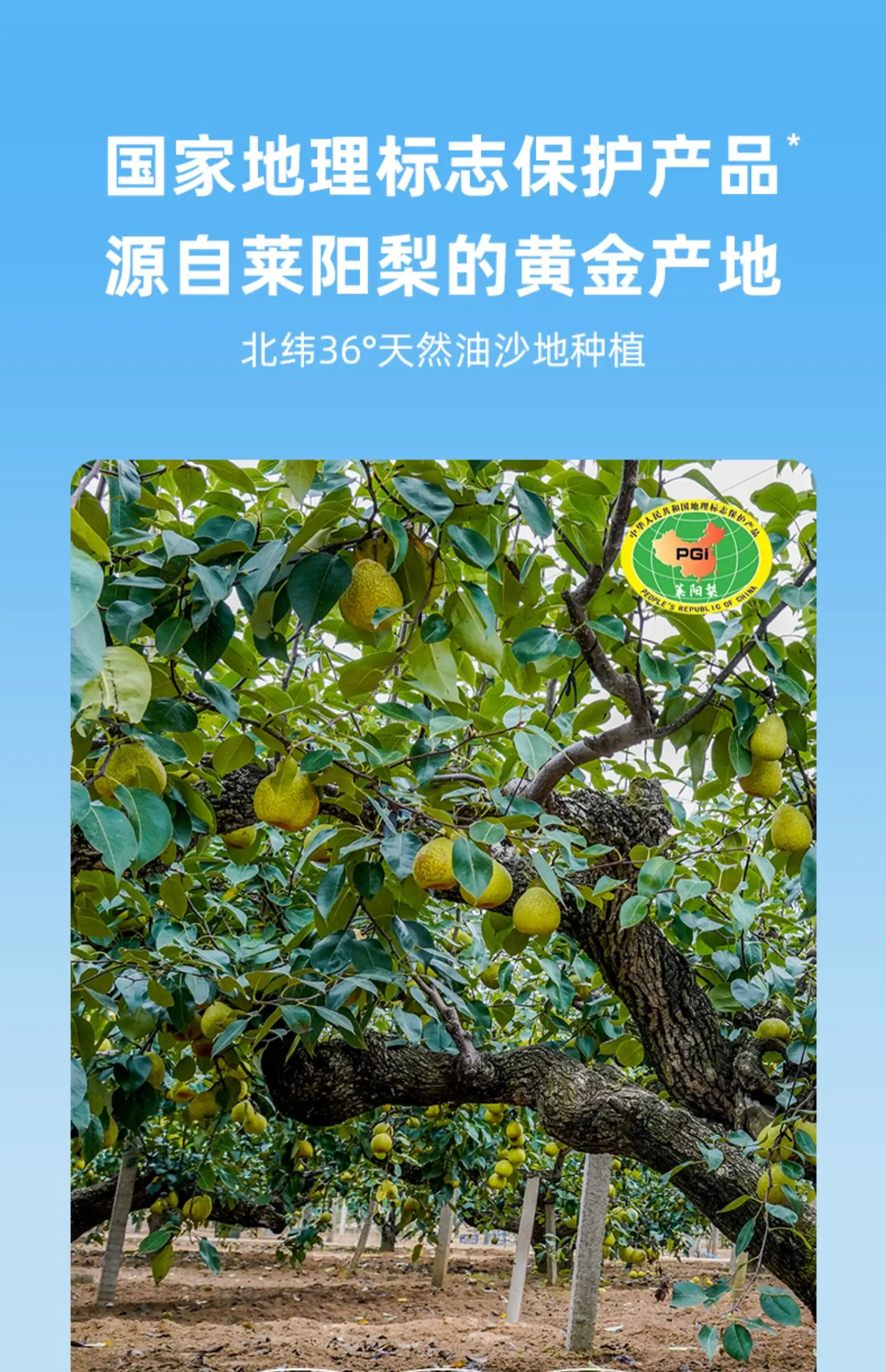 So Natural Crispy Pear Freeze Dried Pear Crisps