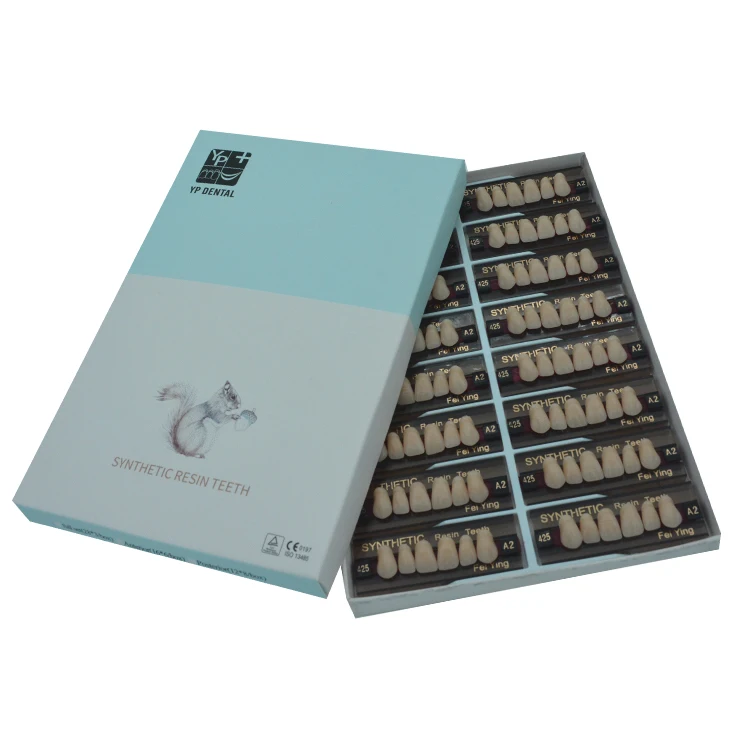 YP 2  Layer Acrylic Resin Teeth Full Set False Teeth Dentures Dental Resin Teeth