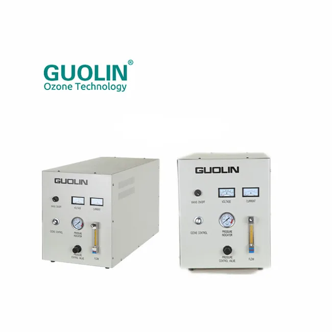 Laboratory Ozone Generator small ozonator domestic ozonizer 03 machine on sale made in China