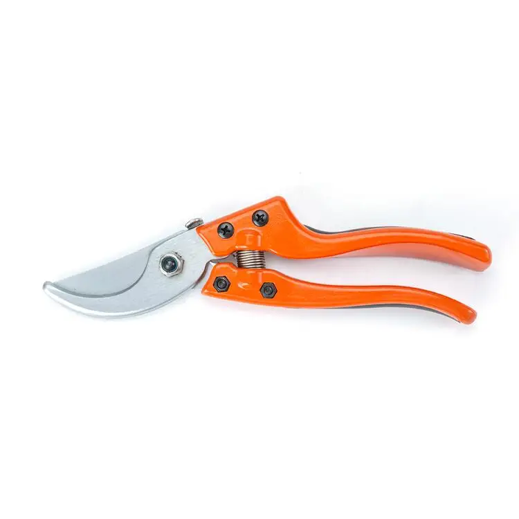 Bonsai Spring Gardening Grape Curved Tree Scissors Pruning Shears 25mm Pruner Garden Scissor Pruning Shears Flower Bonsai Tools