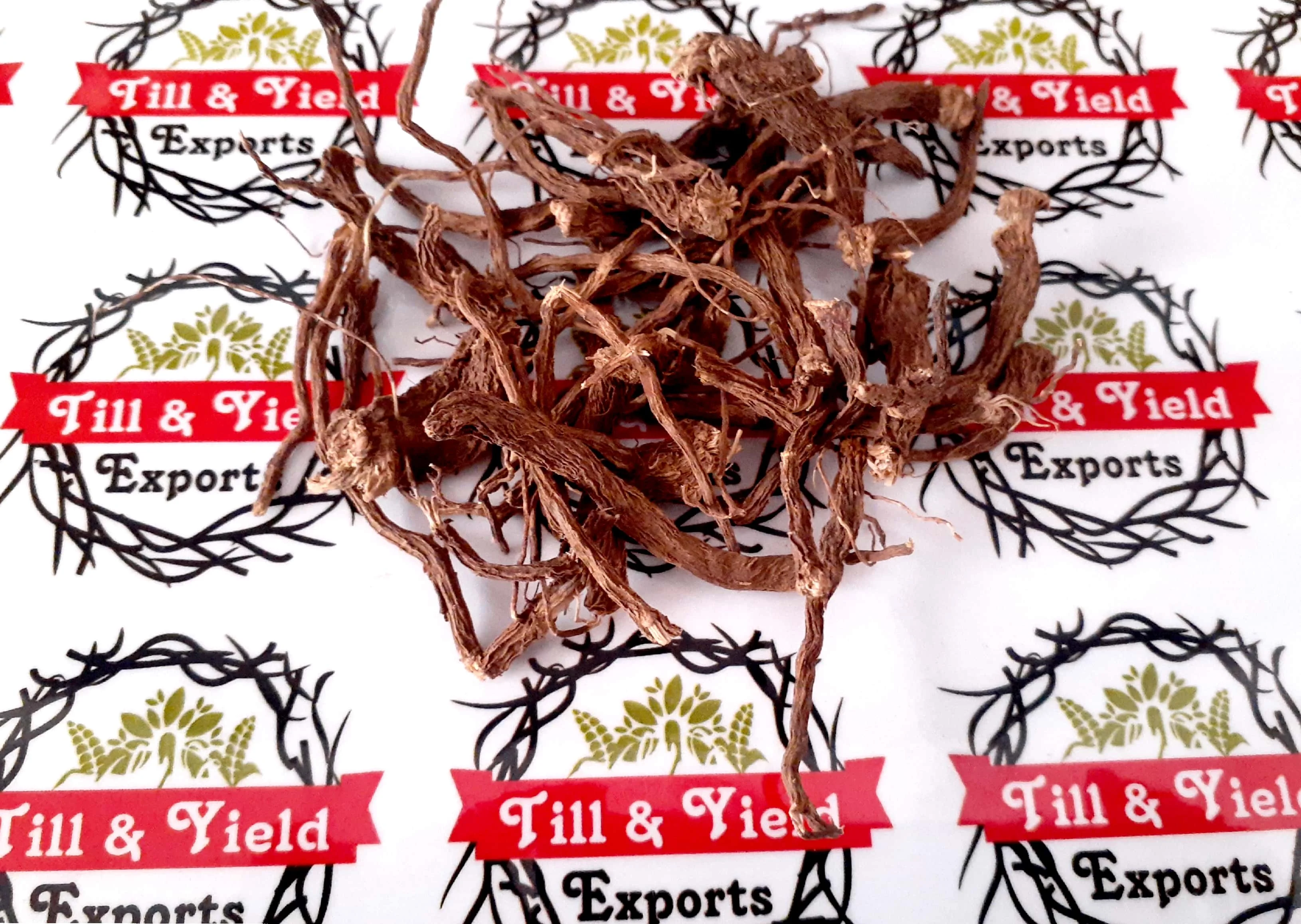 
Dry Coleus Roots - Coleus forskohli 