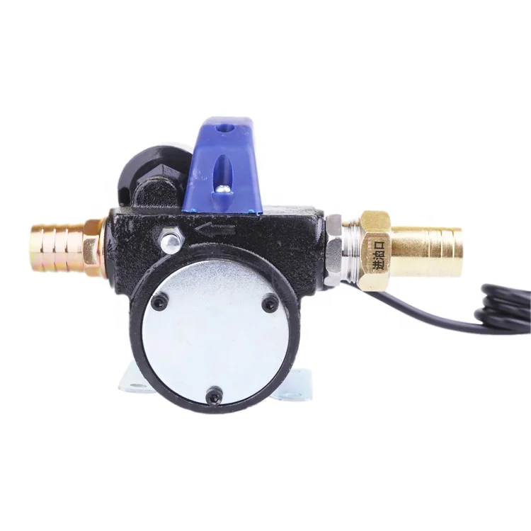 Electric portable refueling bomba DC 12V 24V motor AC 220V 175W 260W battery operated gasoil diesel oil kerosene transfer pump
