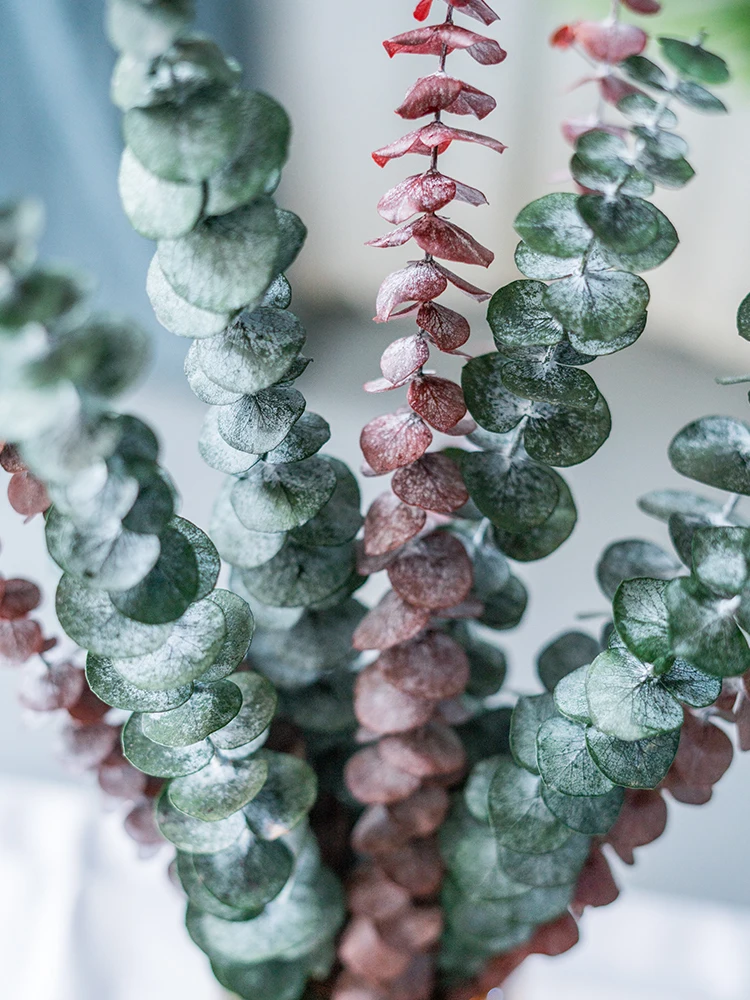 Shopping website top sell natural preserved flowers green eucalyptus for home decor