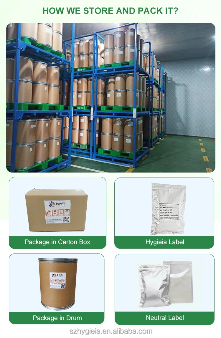 Top quality Health care supplement L-Carnitine weight loss products Acetyl L-Carnitine 99% for brain health