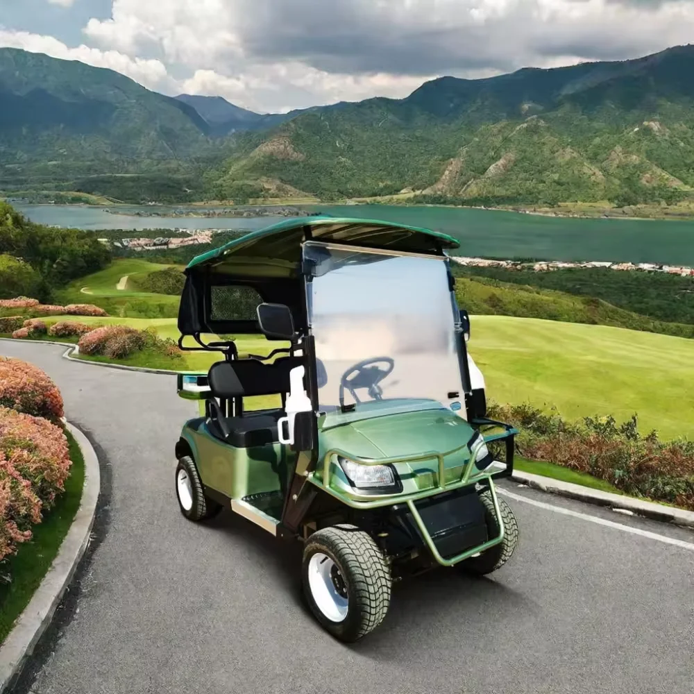 Tong Cai 2 Seater LSV 4 Person Electric Golf Cart With Lithium Battery mobility scooter vehicles carro electrico golf cars