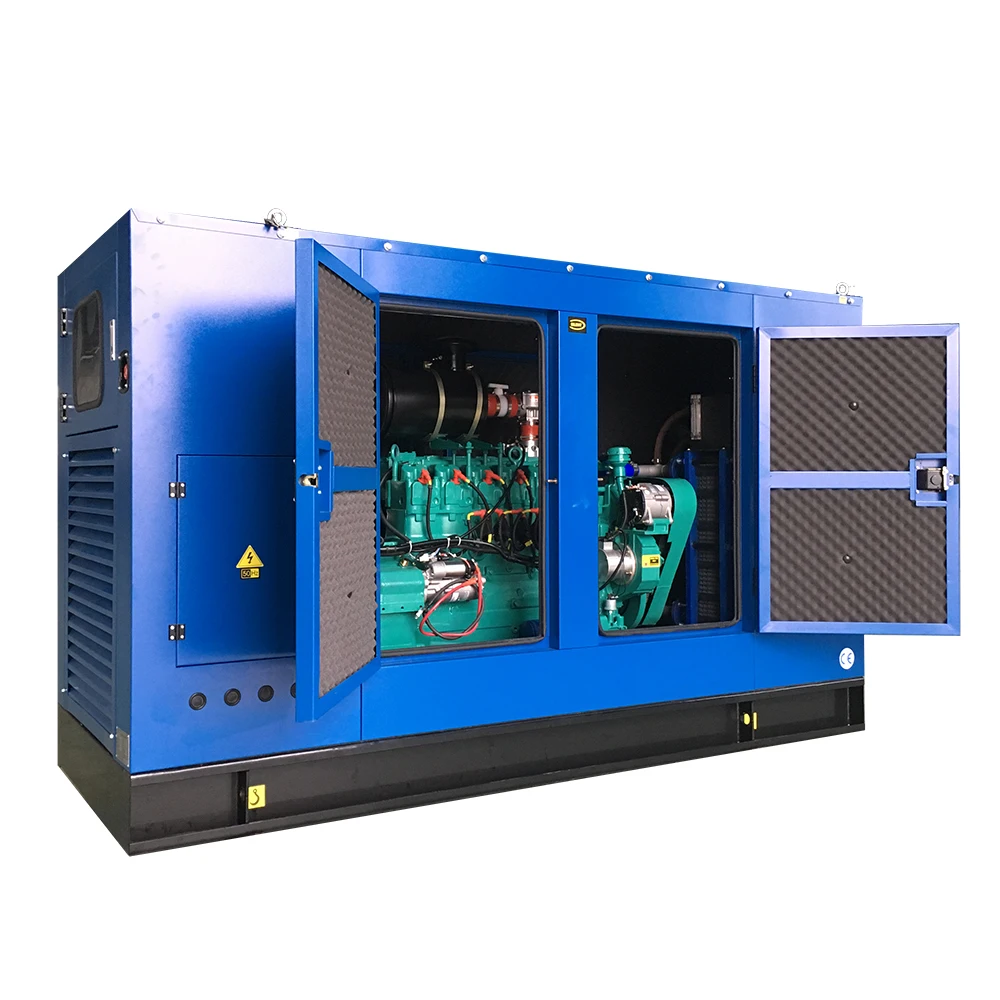 Animal Manure Farm Use Methane 3phase Water Cooled 100kW 200kW 300kW 500kW Silent Type Bio Gas Generator