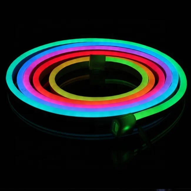 Zhongshan Factory Direct Supply  High Lumen  Remote Control 12V 24V 110V 220V RGB Led Neon Light Flex Rope