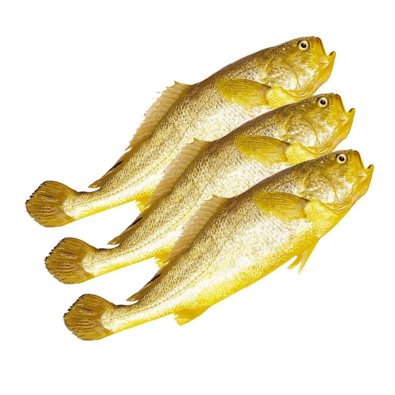 Frozen Seafood Yellow Croaker Frozen Yellow Croaker Fish