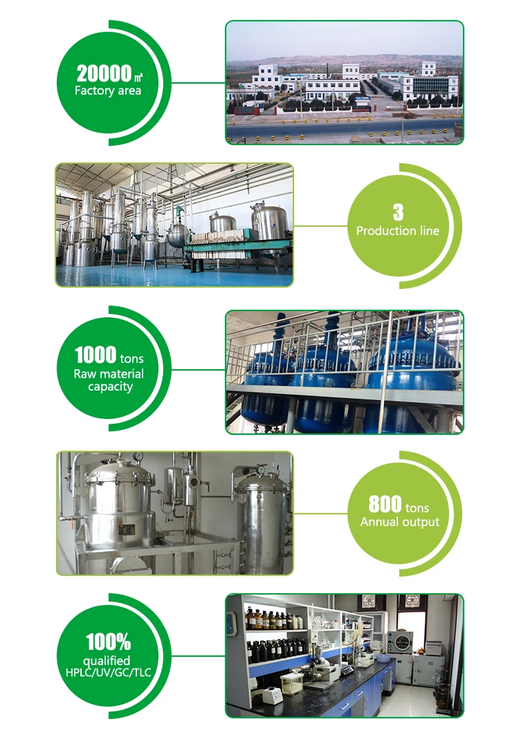 
China USA warehouse stocks supply Kosher Halal certificated l carnitine powder 