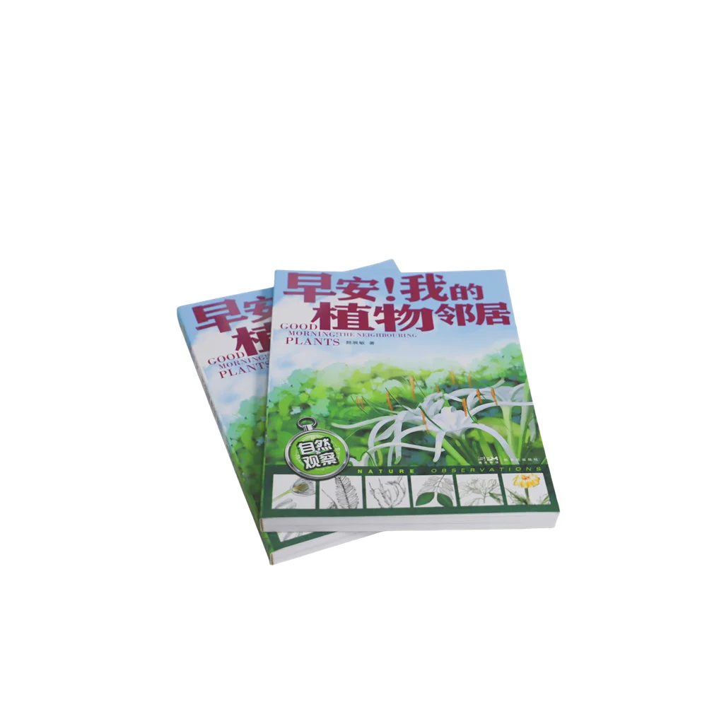 Оптовая продажа от производителя печать детских книг мягкая обложка Экологичная Печать одной книги в формате Pdf