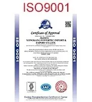 POWERTEC garden tools 16' 2000W electric chain saw