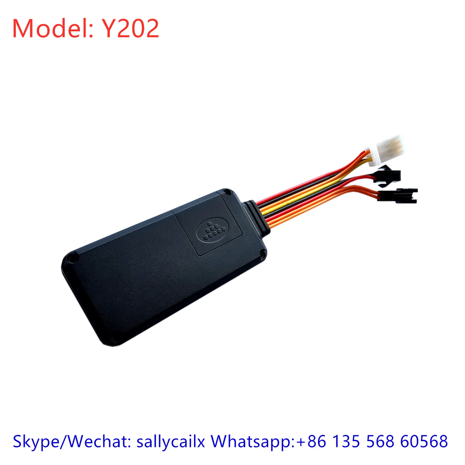 IMG_20191003_113334_