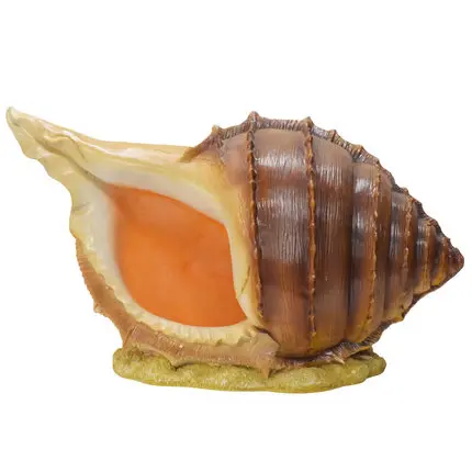 Outdoor marine theme decoration shell conch creative ornaments dolphin landscape glass steel