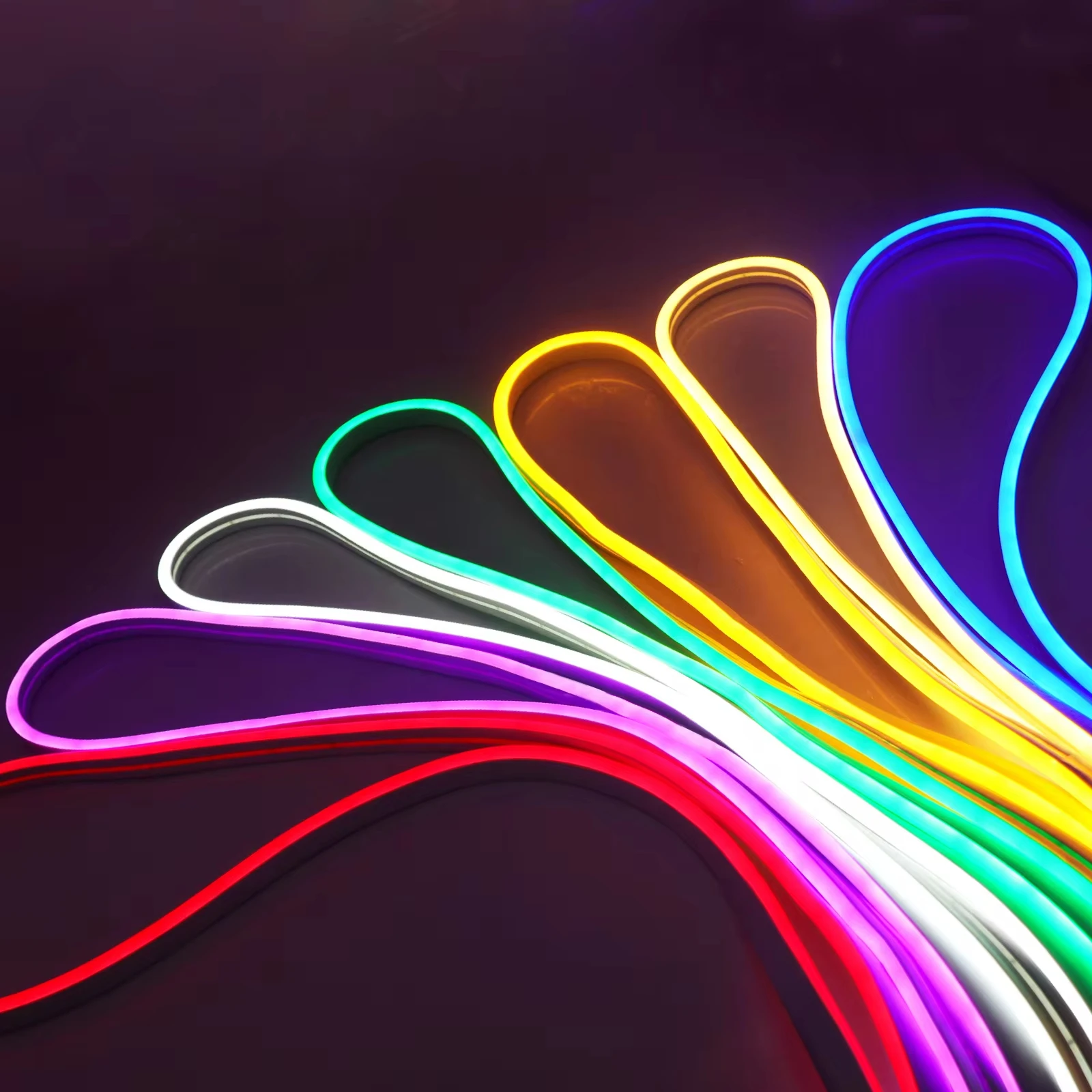 Neon RGB Rope Lights with RF Remote 6*16mm DC12/24V Neon Rope Lights RGB  Gaming Smart Led Strip Lights for Bedroom