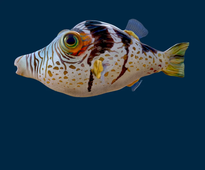 Ocean Animals Colorful Fish Original Customize Cartoon Figures Design Shark Stuffed Models Museum Park Kids Toys