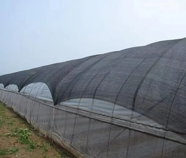 Factory Supply Sun Shade Netting Green 50% UV HDPE Monofilament Black Agriculture HDPE Shading Net for Greenhouse