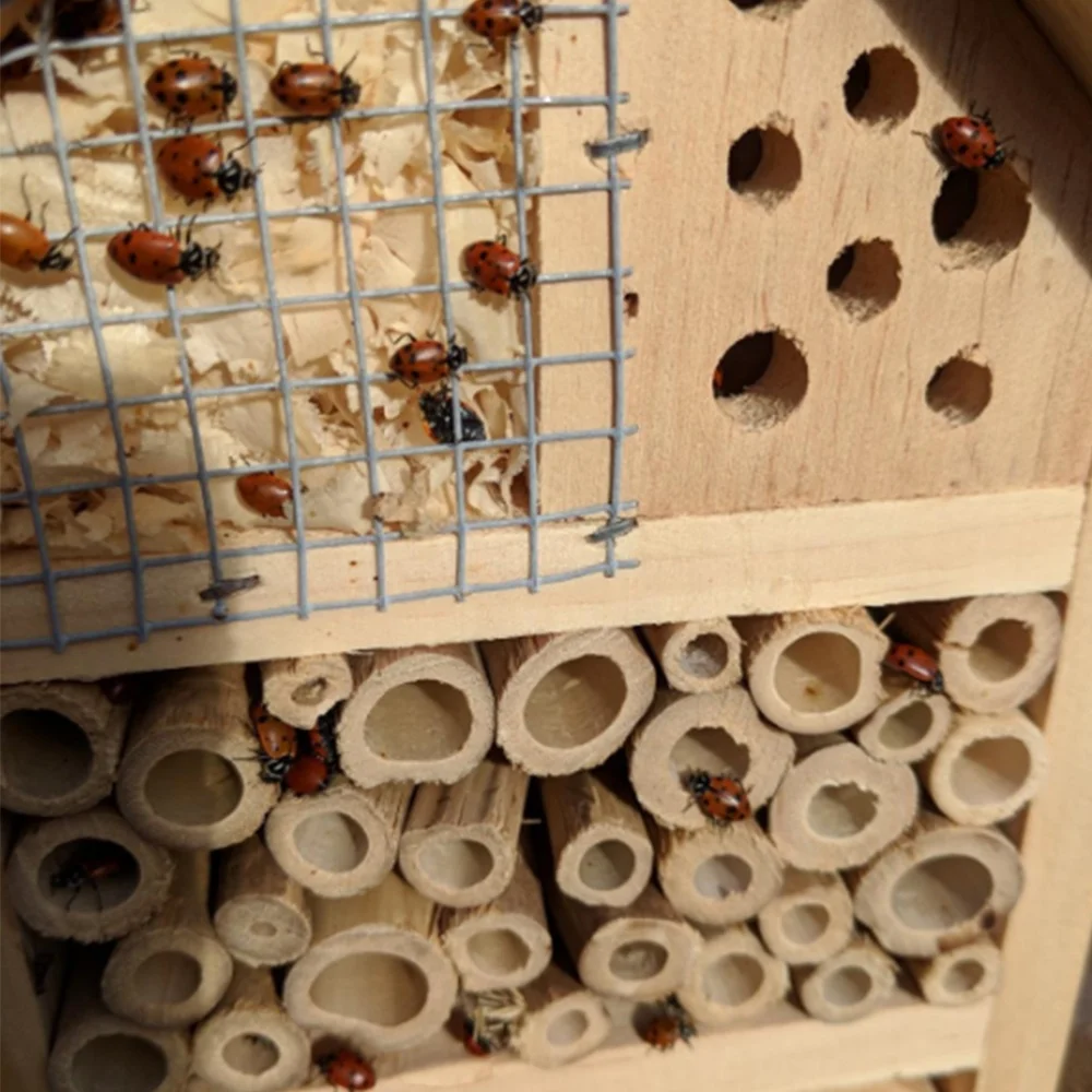 Wooden Insect Hotel with Metal Roof, Bee House with metal Roof, solitary bee hotel for garden